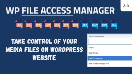wp file access manager