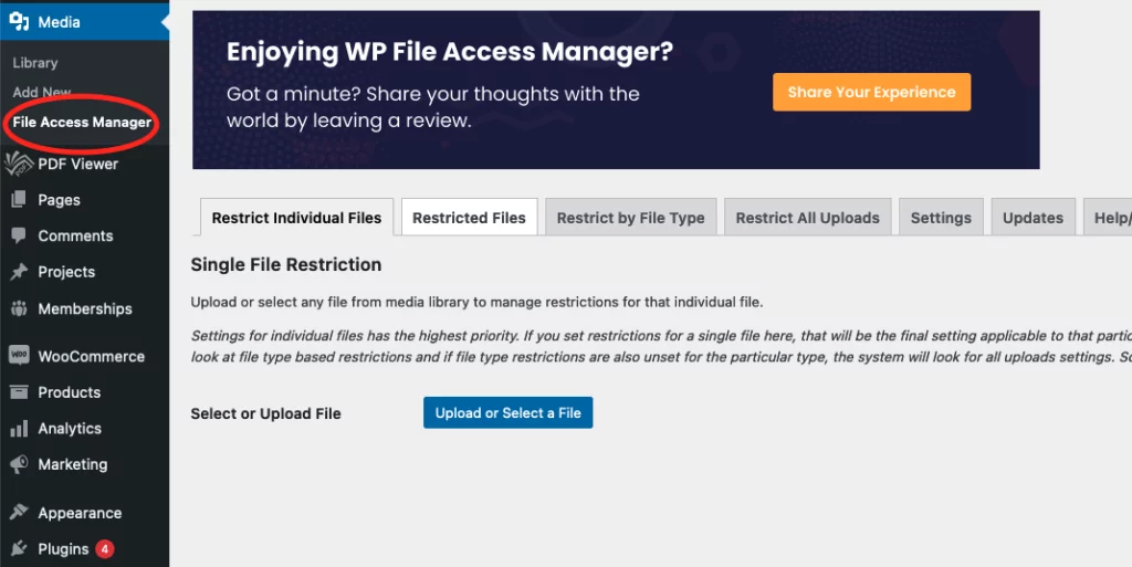 File-access-manager-wordpress-dashboard-screenshot