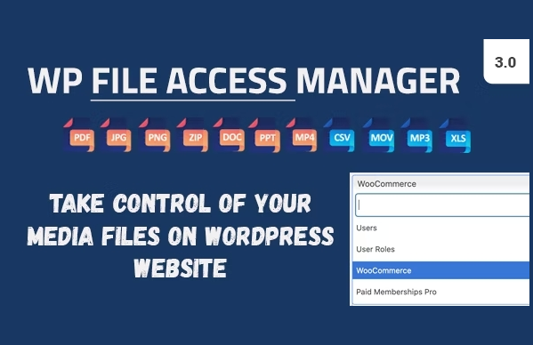 WP file access manager