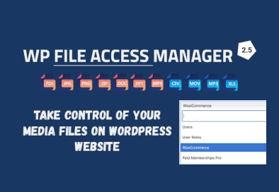 WP File Access Manager
